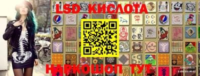 спиды Новозыбков