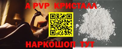 спиды Новозыбков